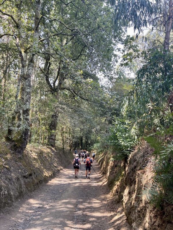 Camino de Santiago